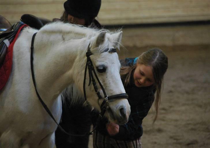 Anden særlig race Ballerina<3 billede 5