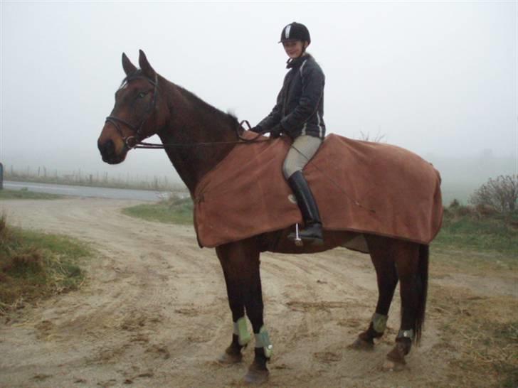 Holstener Livingstone, miss you :'( - :)<3 billede 3