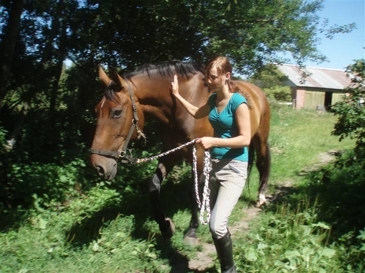 Holstener Livingstone, miss you :'( - På vej ud på marken billede 12