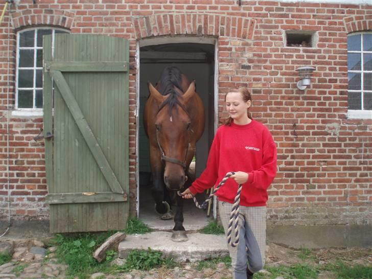 Holstener Livingstone, miss you :'( - På vej ud :) billede 13