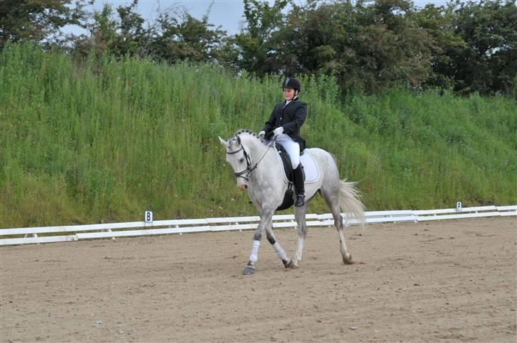 Anden særlig race Malcolm<'3 - Wlkommen til Malle´s profil ;D <´3 billede 1