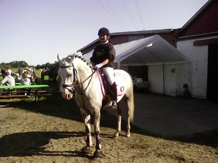 Anden særlig race Malcolm<'3 - Første spring stævne på TØR i sommeren 08 billede 4