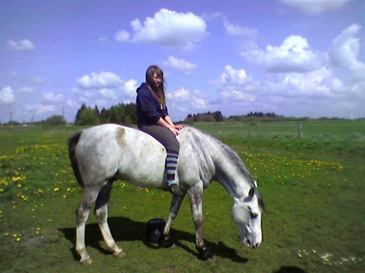 Anden særlig race Malcolm<'3 - Hygge på marken :i sommeren 08 billede 5