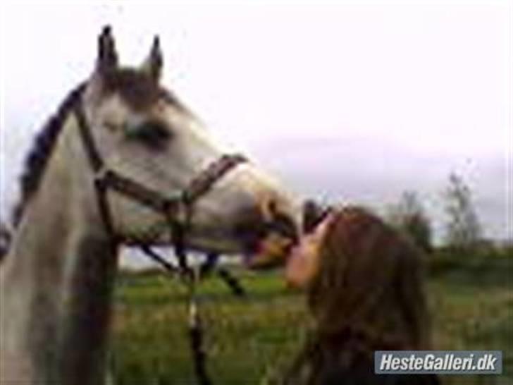 Anden særlig race Malcolm<'3 - sommeren 07 tror jeg det var ? :p billede 7