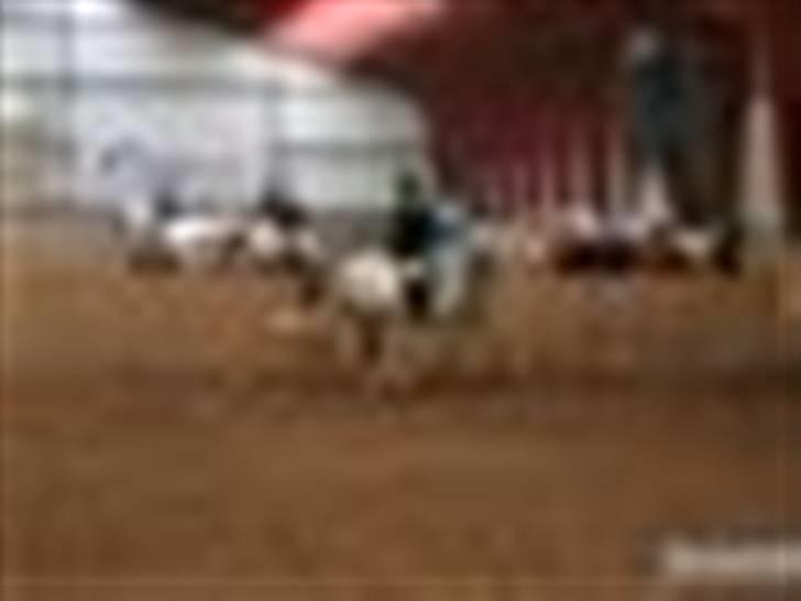 Anden særlig race Malcolm<'3 - Første udebys syævne i Brede ;D billede 8