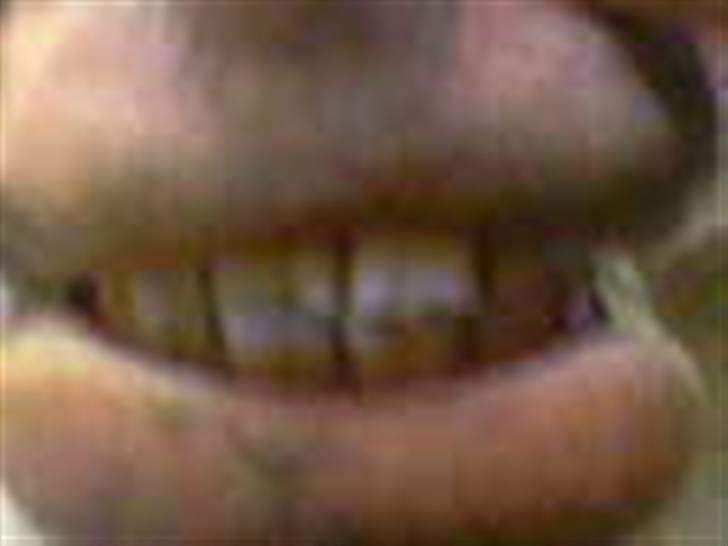 Anden særlig race Malcolm<'3 - SMIIIIIL :D billede 11