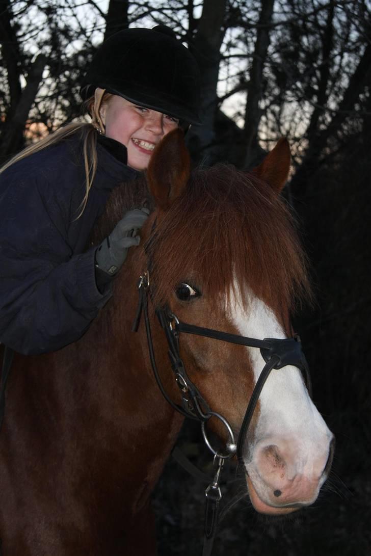 Anden særlig race AN-DRO - Velkommen :D billede 1