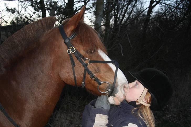 Anden særlig race AN-DRO - ´JEGÆÆÆÆLSKERDIG! (L) billede 2