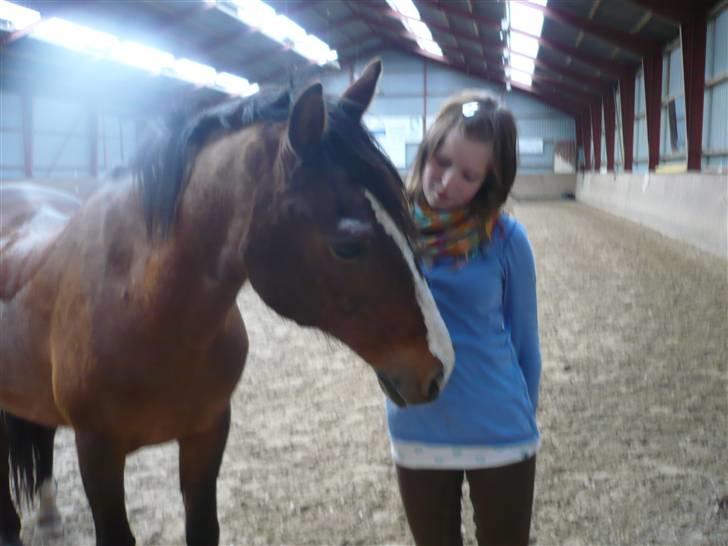 Anden særlig race Max - gammel privat part - d. 9/4. foto: joan. billede 13