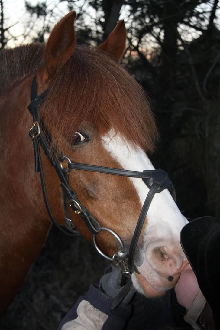 Anden særlig race AN-DRO - Fordi du fortjener altid et kys  *; billede 3
