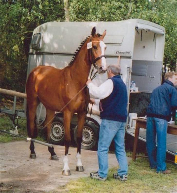 Holstener Ulrika - Kåring i Holstein 2007 billede 4