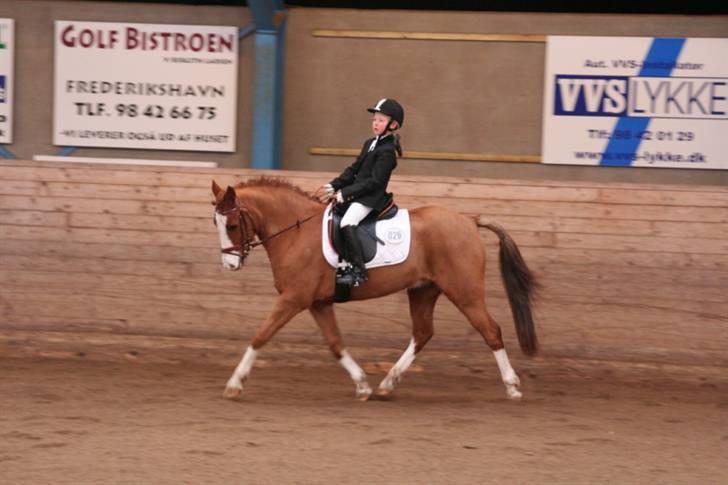 Anden særlig race Simba - Simba og jeg rider lc3 på Lerbæk billede 13