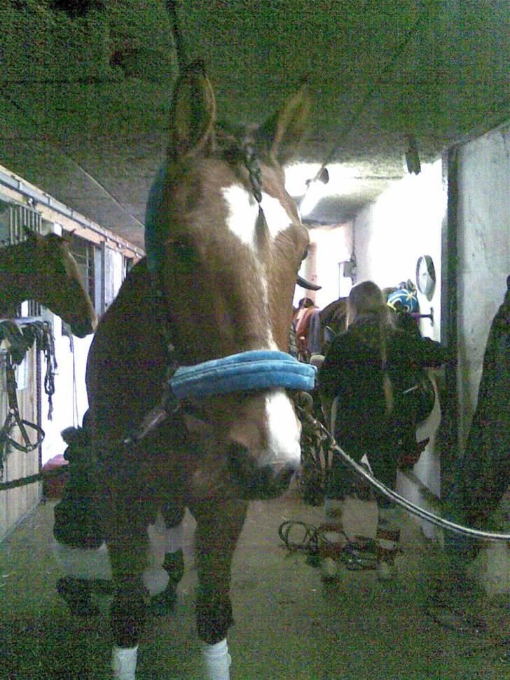 Traver Highlight<3†DØD†savnet:'( - er jeg ikke bnare lækker? foto min mor  billede 3