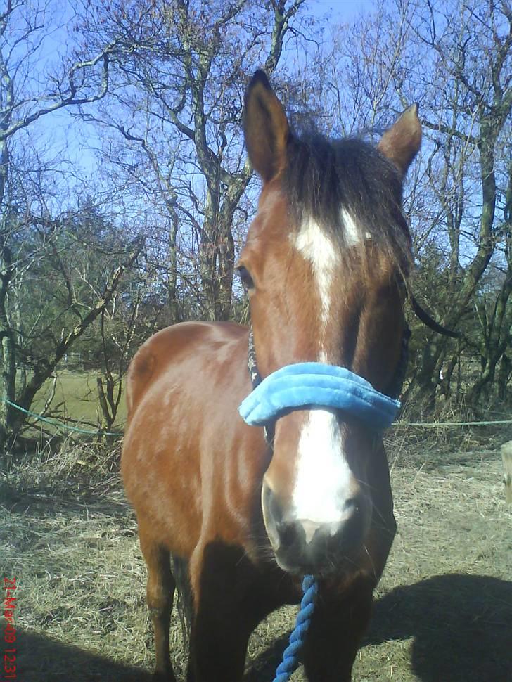 Traver Highlight<3†DØD†savnet:'( - hvorfor skal jeg gørs så fin? foto mig billede 4