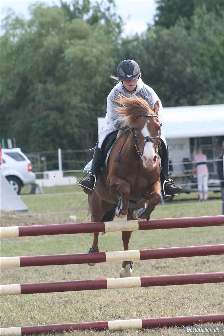 Anden særlig race AN-DRO - Weehaaaar - vi lækre :D billede 6