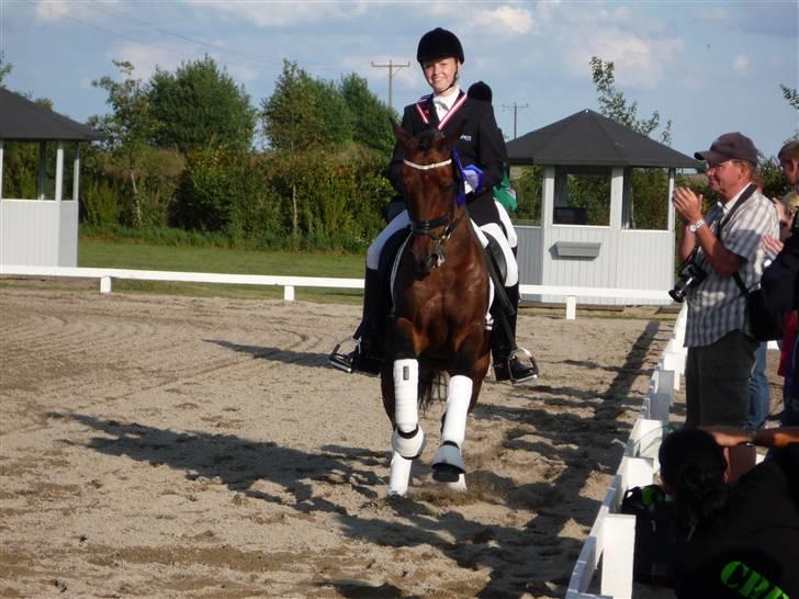 Anden særlig race Moonlight - Æresrunde til dm :b dejlige Moonlight i fin galop billede 20