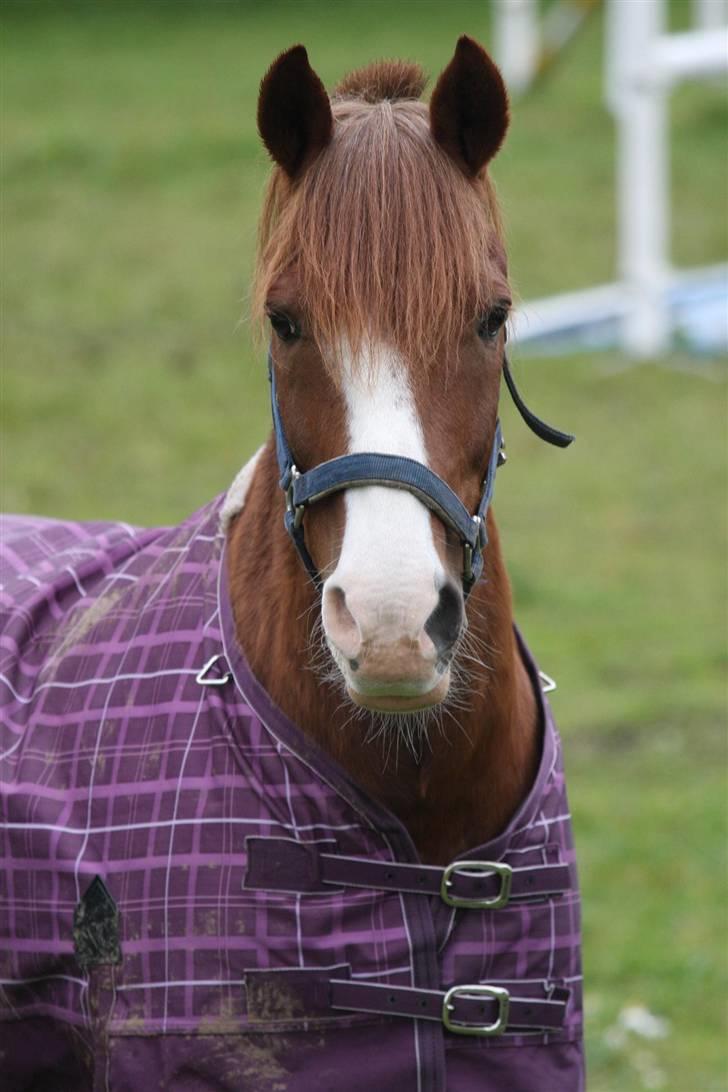 Anden særlig race AN-DRO - Hey? Mig i snakker til? Billede? Ja så gerne..... Hov har du taget det? Ser jeg godt ud? SELVFØLGE GØR DET DET :D  billede 8
