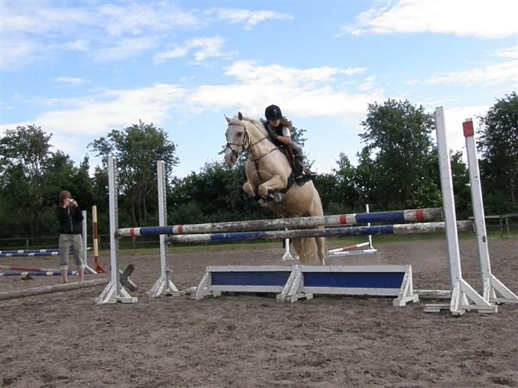 Welsh Pony (sec B) Rosengårdens Nathowra - Mig og Goldfinger springer til træning. Foto: Line Hald billede 2