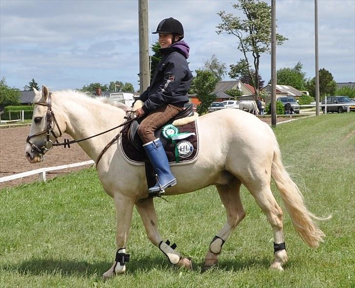 Welsh Pony (sec B) Rosengårdens Nathowra - Goldi og hans nye ejer Lin<3 Foto: Karen billede 3