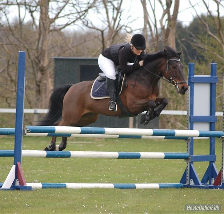 Anden særlig race Håkon - Trænings dag HJR, LA. Taget af Annika billede 9