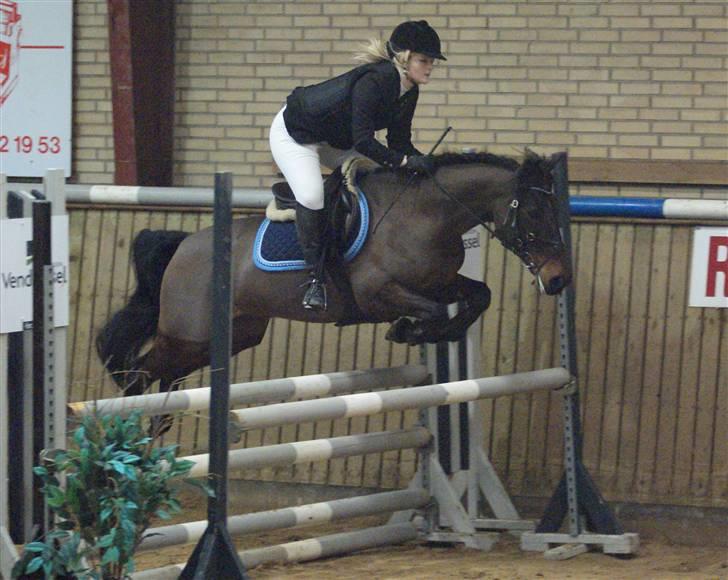 Anden særlig race Håkon - Lidt gammelt, men godt billede. Stævne i HJR LB eller LA. Taget af FotoMB billede 10