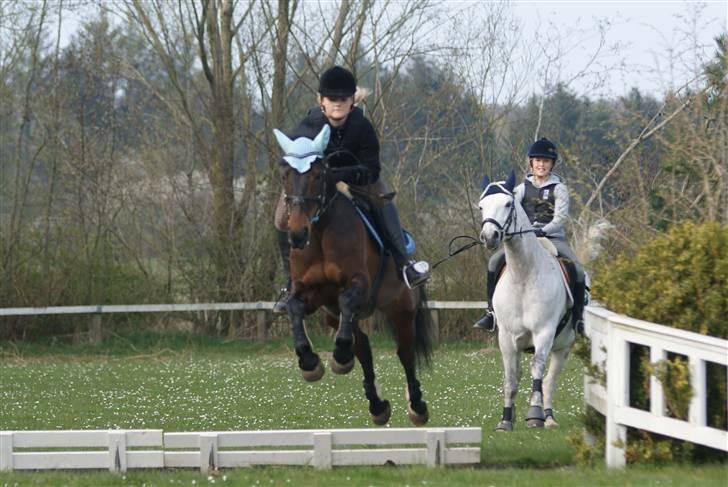 Anden særlig race Håkon - Over vandgraven sommer 2010. Taget af FotoMB billede 12