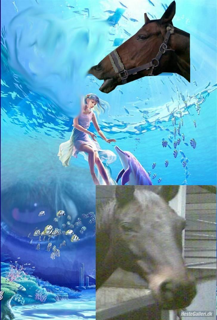 Anden særlig race Danny - Tak :) billede 9