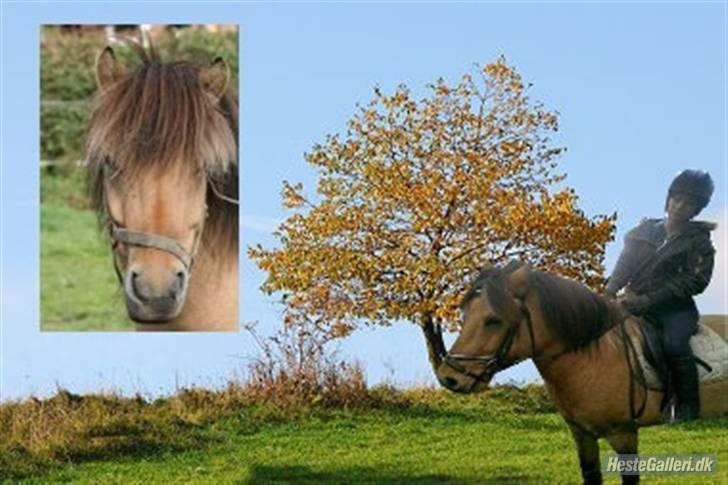 Anden særlig race Zimba / Rex - Tak :D billede 19