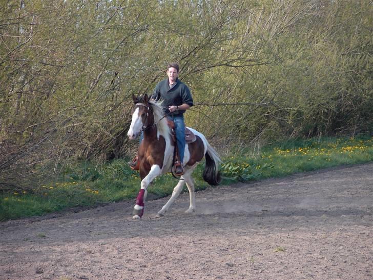 Pinto Arina R.I.P. 10/12 2009 - Armani F: Imagic PIH 50 billede 7