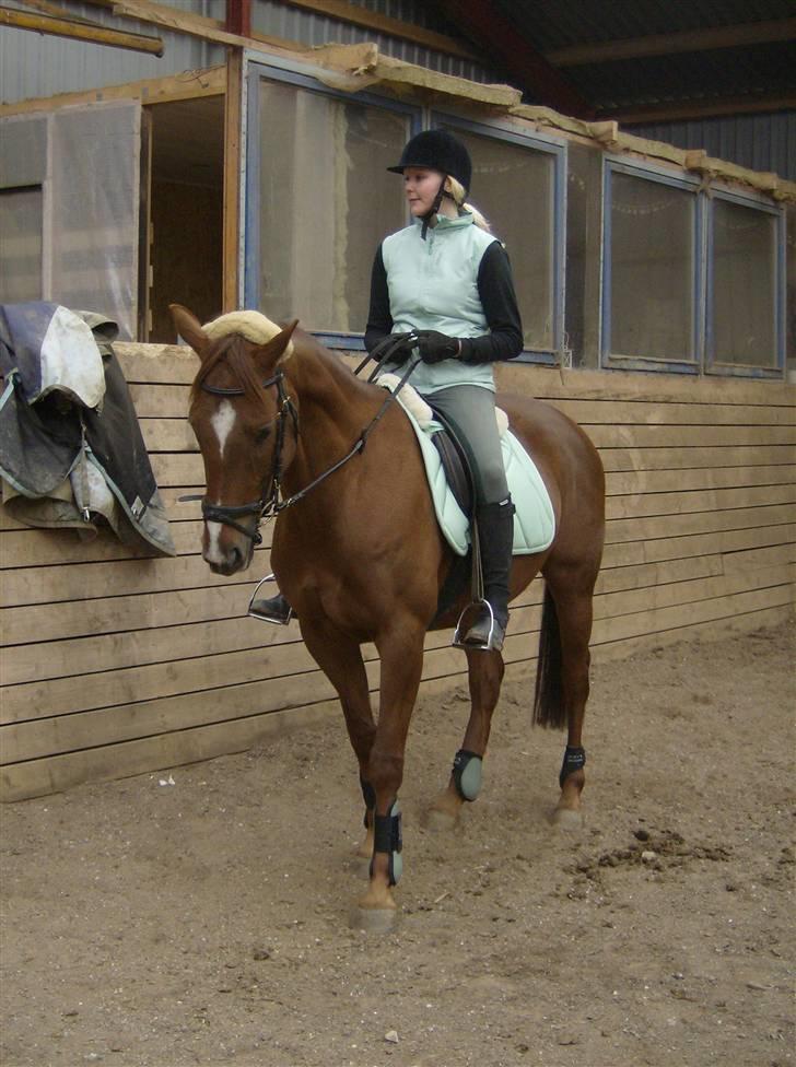 Fuldblod (XX) **Refreshment** R.I.P billede 8