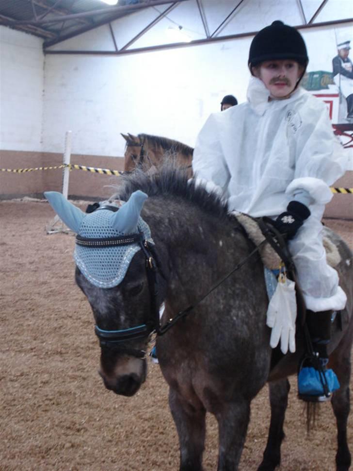 Amerikansk Pony springer SMOKY - 19) Smoky og jeg til fasterlavn ringridning foto: Line Sørnsen billede 19