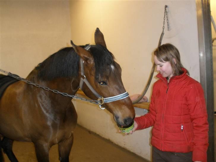 Dansk Varmblod Vistahl Finesse - Finesse+Iben=venner 4-ever <3  billede 5