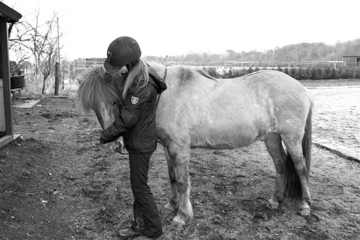 Islænder Ofeigur fra Tyvekrogen - <3 billede 10