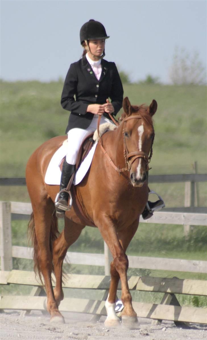 Frederiksborg Legolas Enghaven billede 2