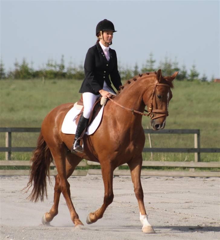 Frederiksborg Legolas Enghaven billede 3