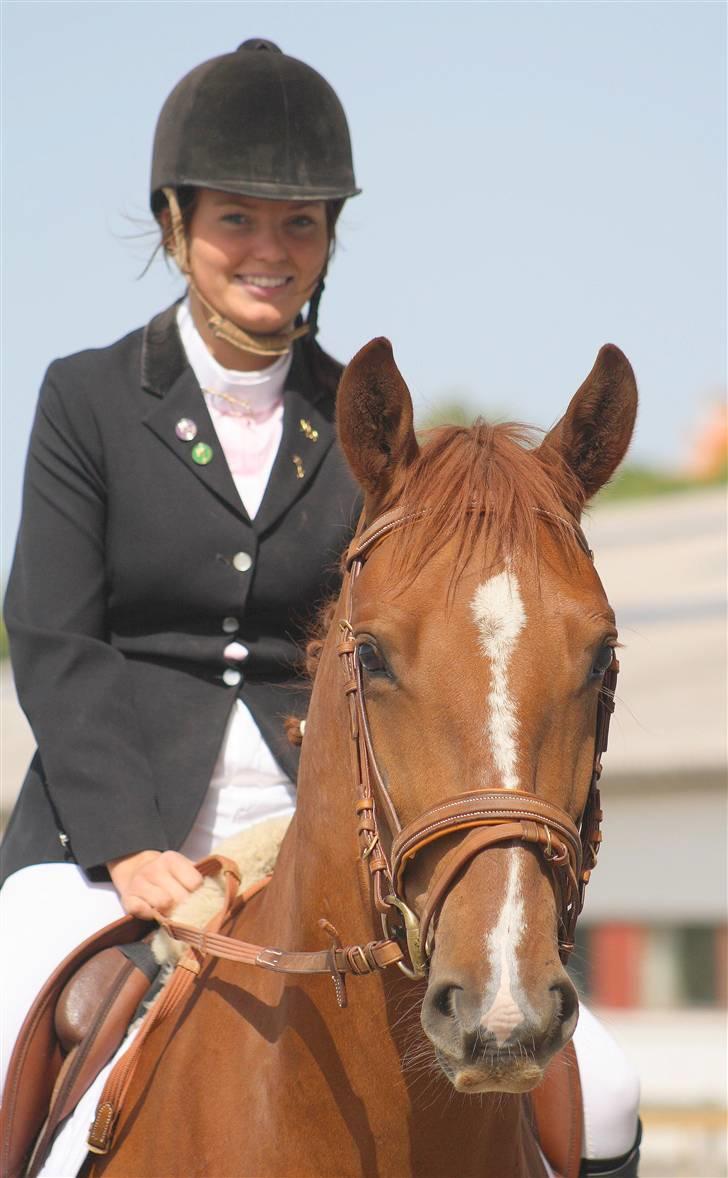 Frederiksborg Legolas Enghaven billede 4