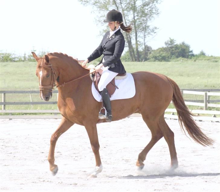 Frederiksborg Legolas Enghaven billede 5