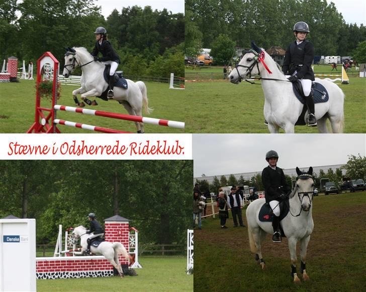 Anden særlig race Chagall - ^^ <3 foto: min far billede 10