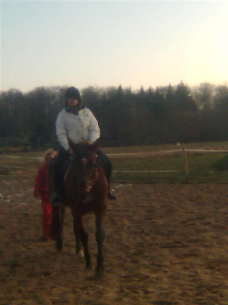 Anden særlig race speed - en af de første gange jeg sidder på speed <3 :P billede 12