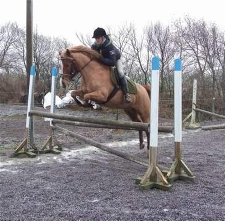 Anden særlig race Baloo - Baloo og Line billede 15