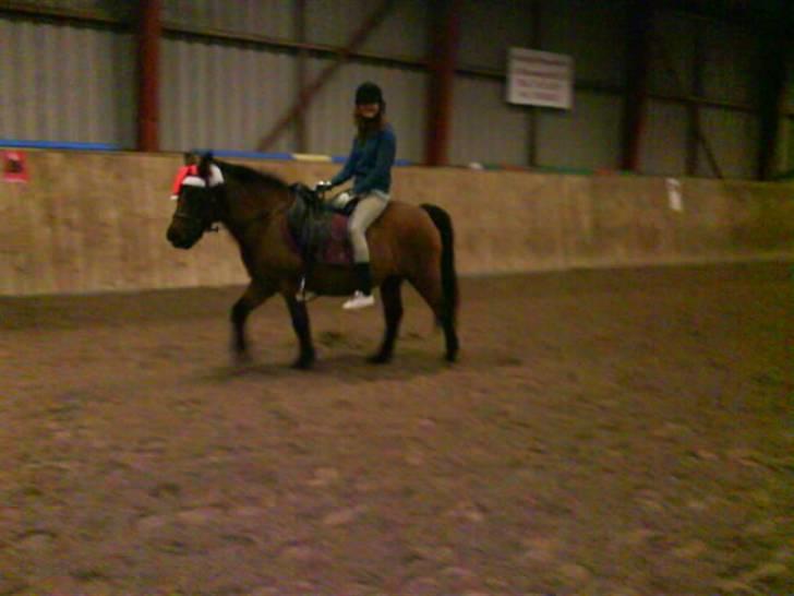 Anden særlig race Sindy  - gammel part  - Så sød :) billede 19