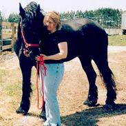 Frieser Tate - SOLGT