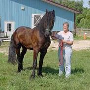 Frieser Tate - SOLGT