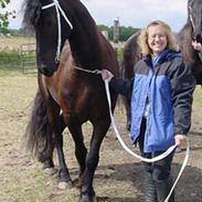 Frieser Tate - SOLGT