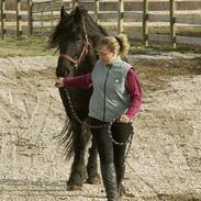 Frieser Tate - SOLGT