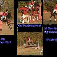 Traver Nordhusets Triton Flir