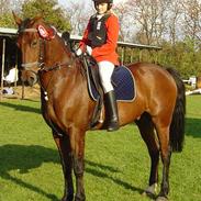 Traver Nordhusets Triton Flir