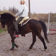 Anden særlig race Frederik - R.I.P. :'(