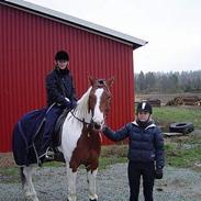 Pinto Double Lazy's Lucky Luke