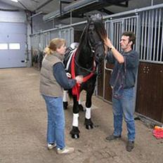 Frieser Hielke Hann *SOLGT* R.I.P